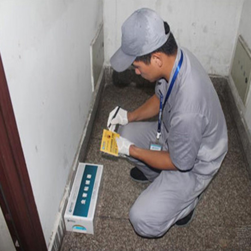 海口灭鼠公司推荐几种有效的灭鼠方法-- 常州清波杀虫灭鼠公司