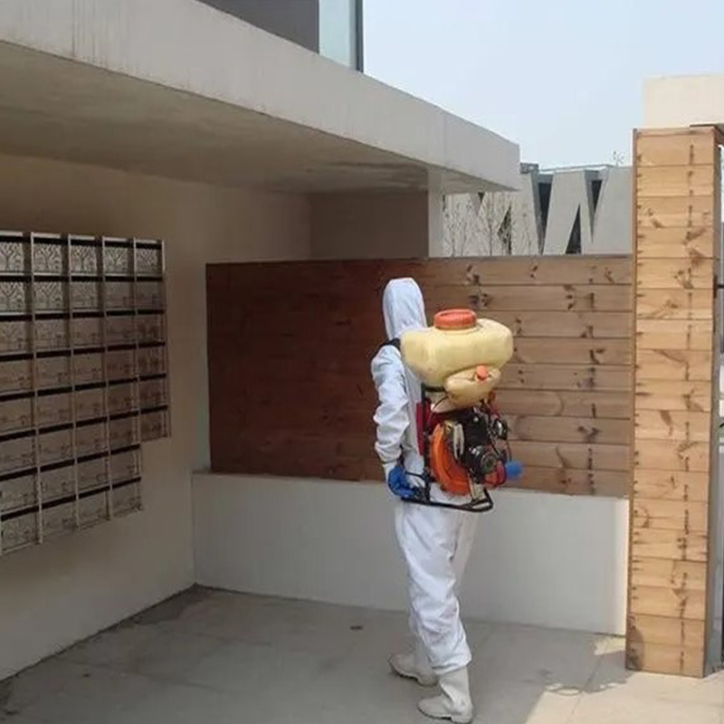 海口白蚁防治公司教你如何判断家里是否有白蚁入侵-- 常州清波杀虫灭鼠公司