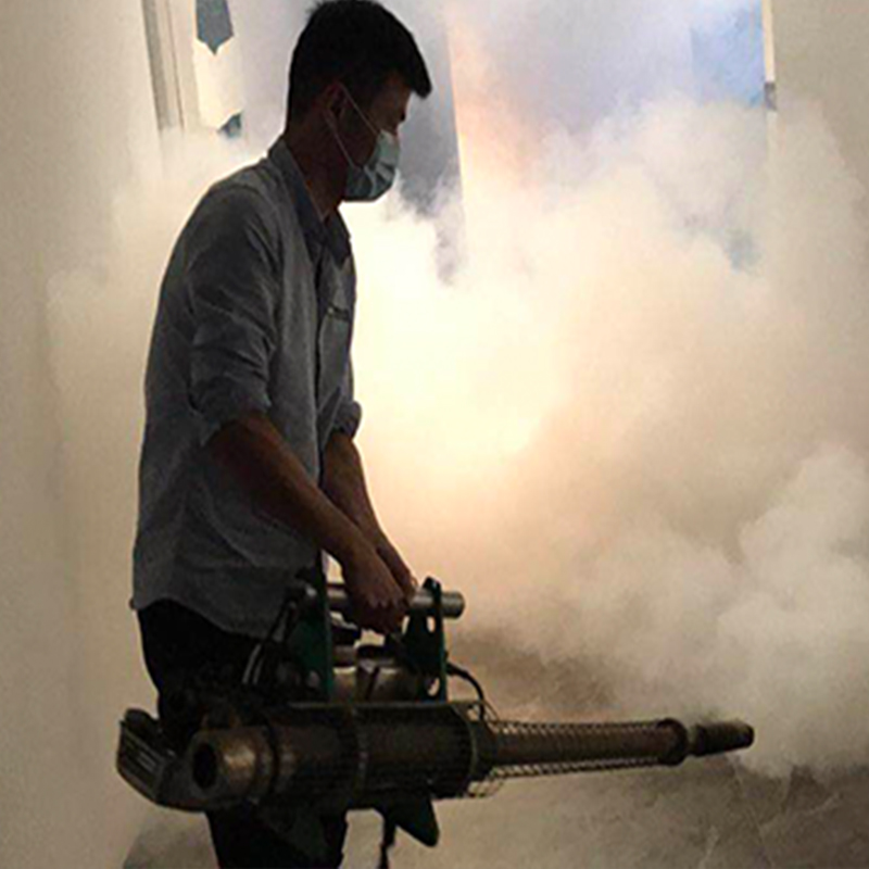 常州杀虫公司介绍蟑螂是如何进入家里的-- 常州清波杀虫灭鼠公司