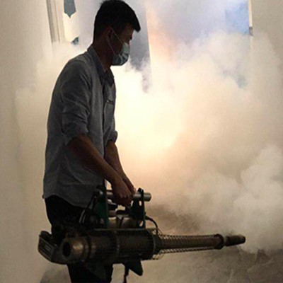 常州杀虫公司介绍蟑螂是如何进入家里