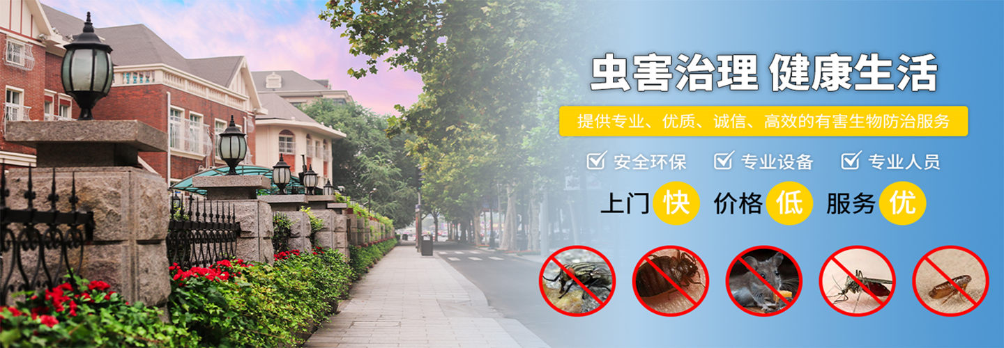 海南椰盛达杀虫灭鼠消杀公司