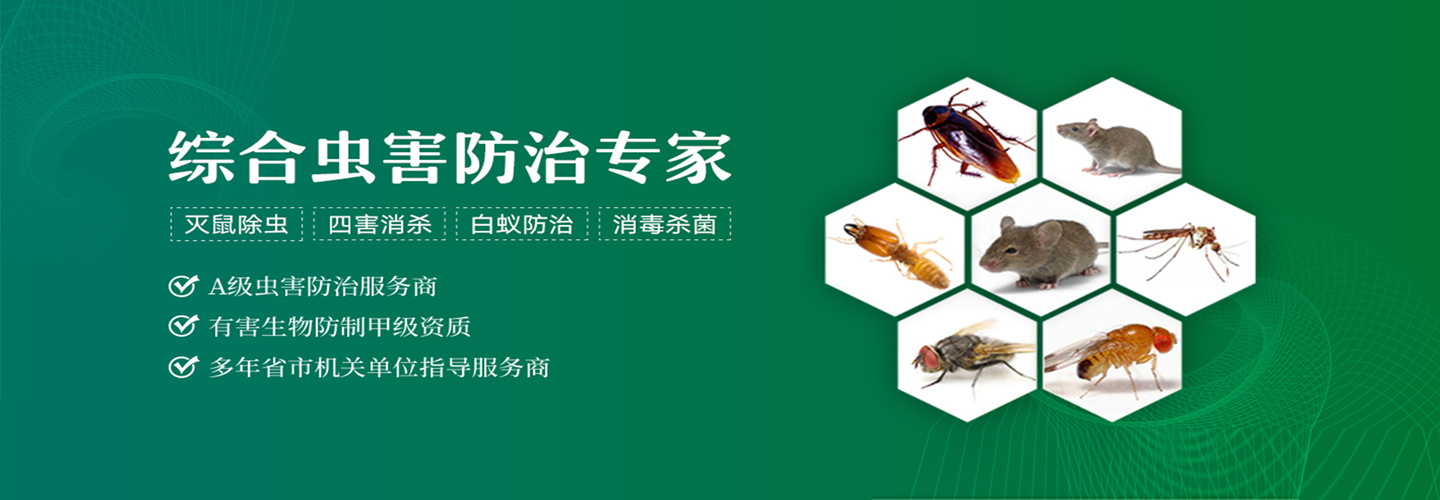 海南椰盛达杀虫灭鼠消杀公司