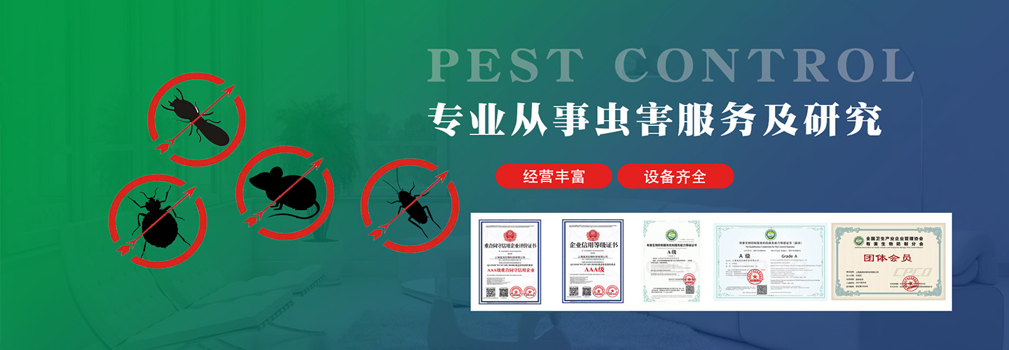 海南椰盛达杀虫灭鼠消杀公司