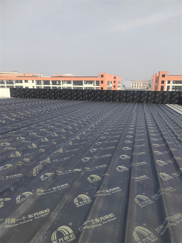 绍兴彩钢瓦漏水维修