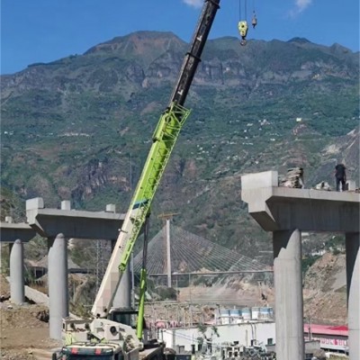 如何通过分析项目整体进度，优化吊车的使用效率减少闲置？