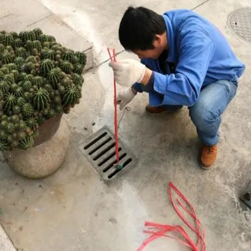 南通灭白蚁公司仓库白蚁防治服务如何做