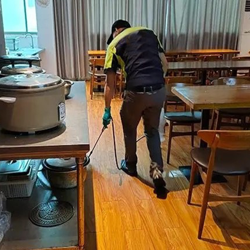 南通灭鼠公司商场超市灭鼠方法