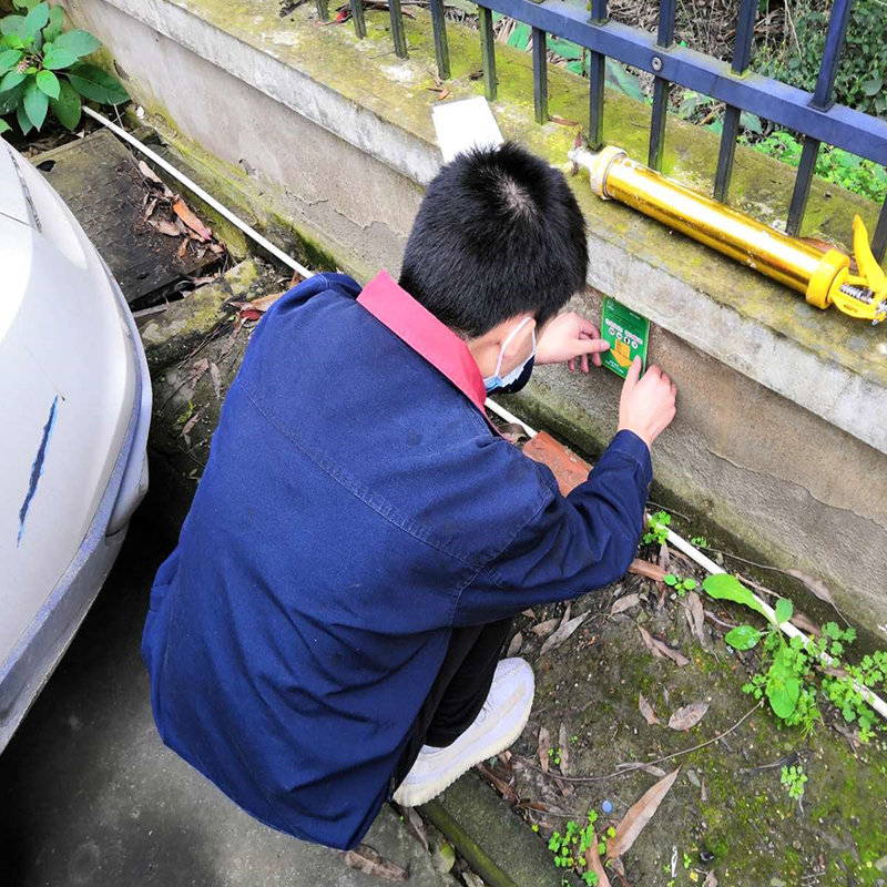 南通灭鼠公司提示老鼠的危害有哪些-- 南通市苏卫士杀虫灭鼠公司