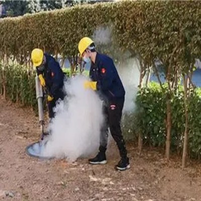 张家港灭白蚁公司分享白蚁知识介绍