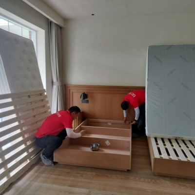 家里异味浓，它们会集中作祟，不一定