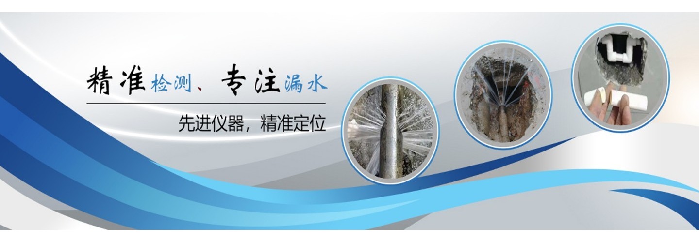 大连旺财漏水检测服务有限公司