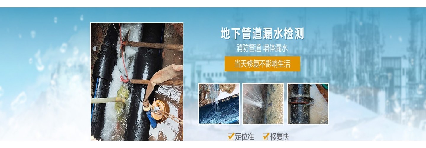 大连旺财漏水检测服务有限公司