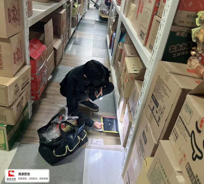 昆山灭蟑螂公司快速消灭蟑螂的方法-- 昆山清波杀虫灭鼠公司