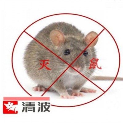 昆山灭老鼠公司讲解老鼠的危害
