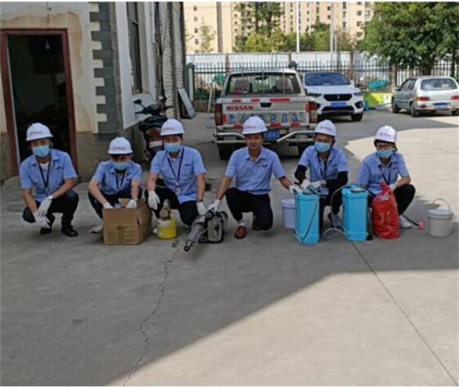 昆山杀虫公司教您如何防治蚊虫-- 昆山清波杀虫灭鼠公司