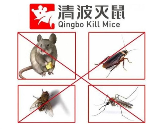 昆山除蟑螂公司告诉你蟑螂是怎么滋生的