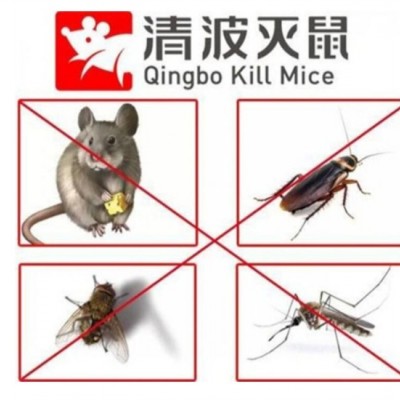 昆山除蟑螂公司告诉你蟑螂是怎么滋生