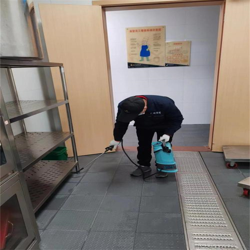 常州灭鼠方法与家庭防鼠措施