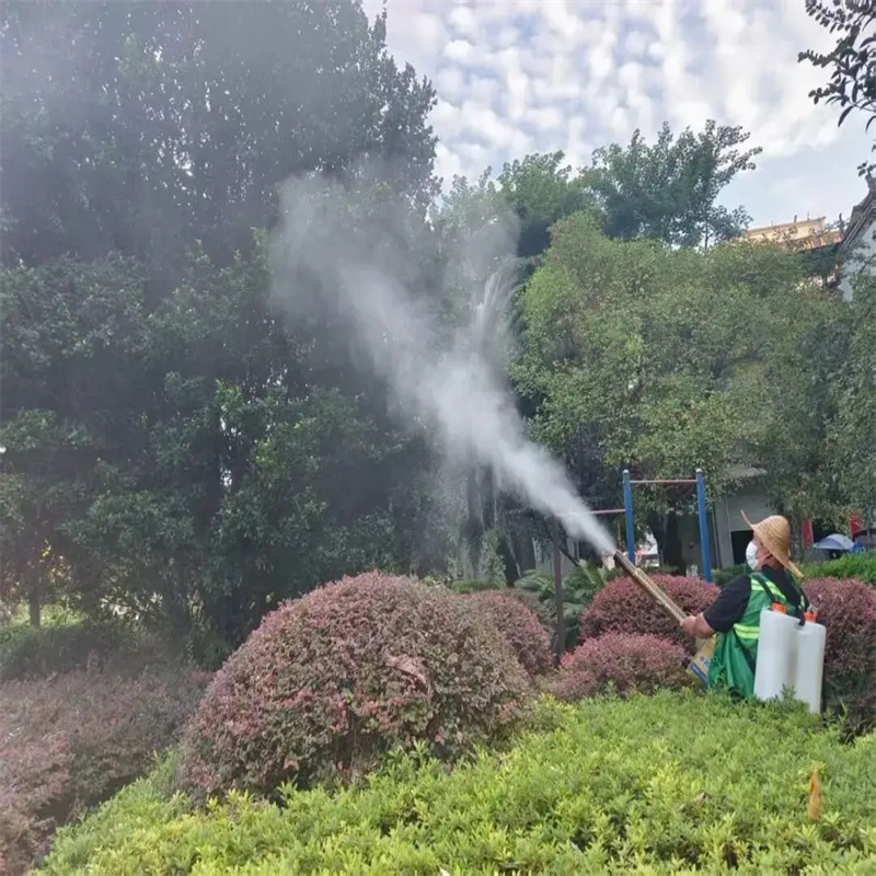 常州灭白蚁必要性与防治要点