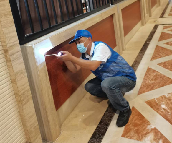 河源灭蟑螂公司为您解答蟑螂猖獗如何处理-- 河源市益民有害生物防治服务有限公司 