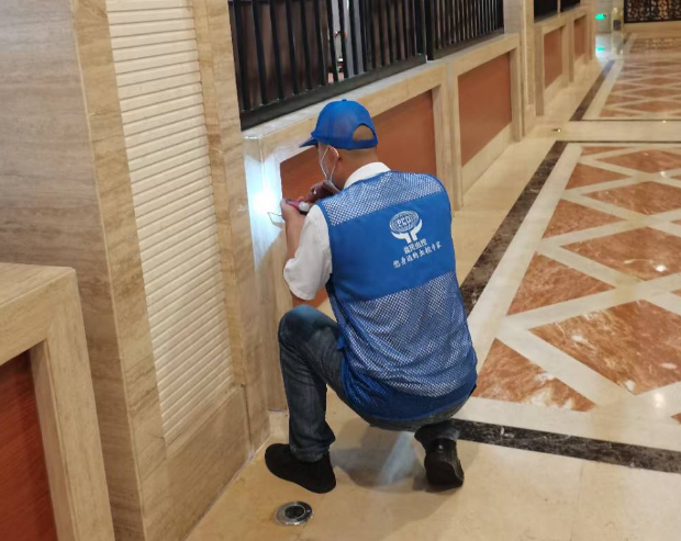 你对老鼠的防治方法了解多少？-- 河源市益民有害生物防治服务有限公司 