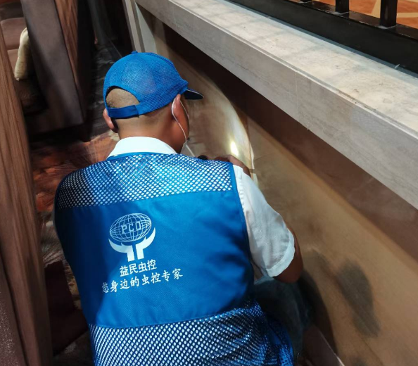 房屋装修要注意白蚁防治工作。-- 河源市益民有害生物防治服务有限公司 