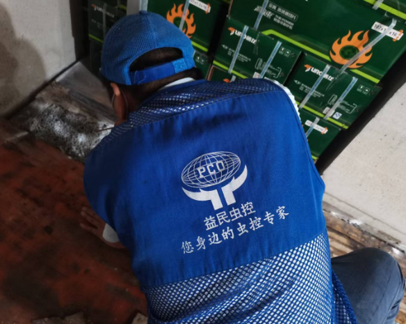 如果在家里发现白蚁，不要自作主张。-- 河源市益民有害生物防治服务有限公司 