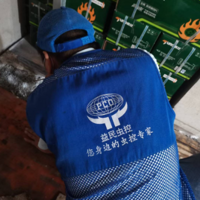 如果在家里发现白蚁，不要自作主张。