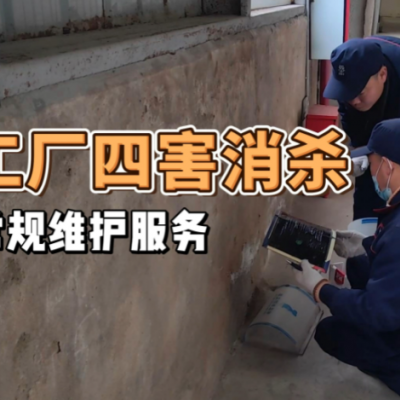 为什么说南阳的专业除四害比自行处理更有效？