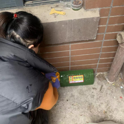 灭鼠公司在南阳处理餐饮业鼠害有哪些特殊步骤？