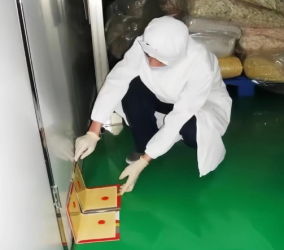 南阳消杀公司的服务流程是否包含事后预防建议？