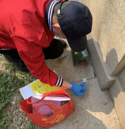 看见一只大老鼠，是否意味着家里已经有一个鼠群存在？