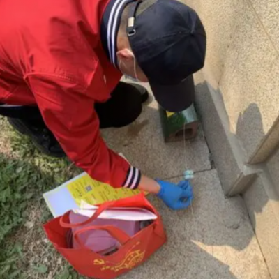 看见一只大老鼠，是否意味着家里已经有一个鼠群存在？