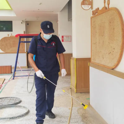小区公共区域的消杀，物业和业主各自应承担什么责任？