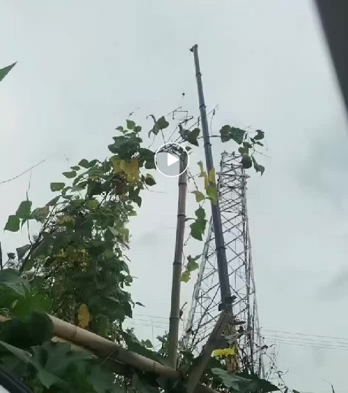 吊车出租终极指南，如何精准匹配安岳及周边工程需求？