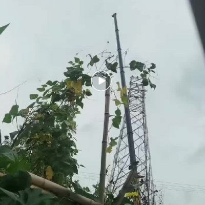 吊车出租终极指南，如何精准匹配安岳及周边工程需求？