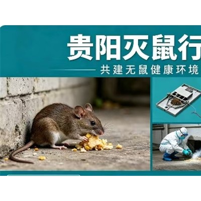 贵阳灭鼠