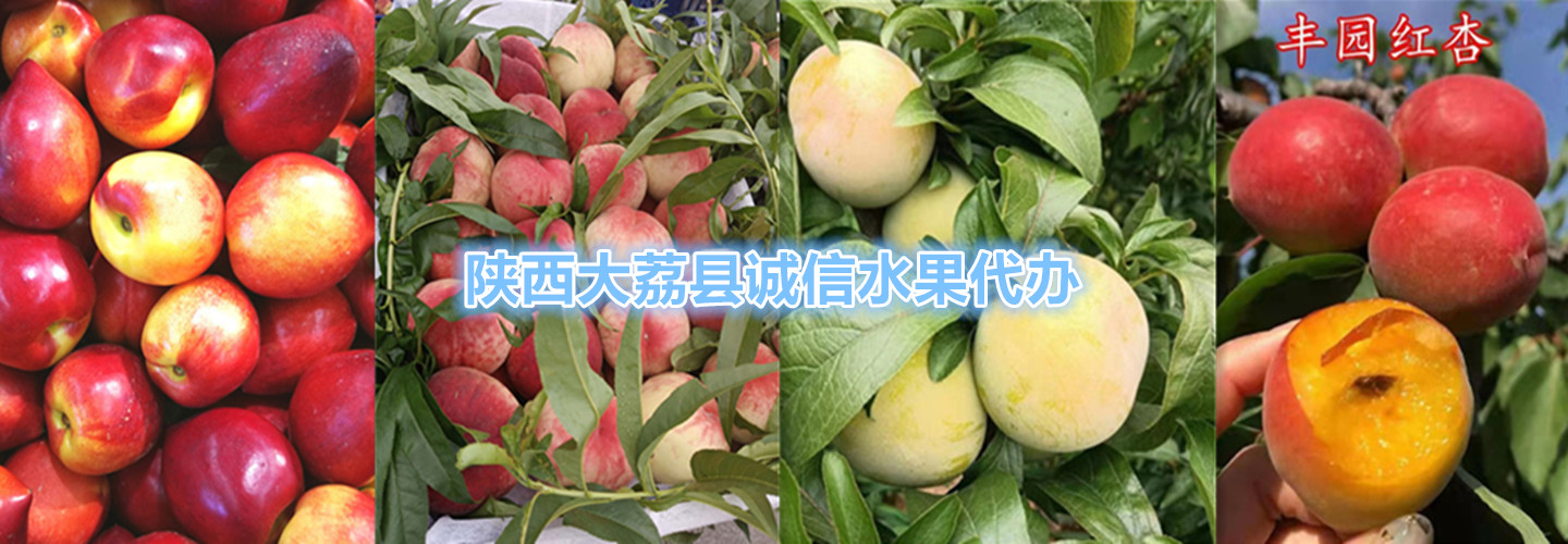 渭南诚信水果批发