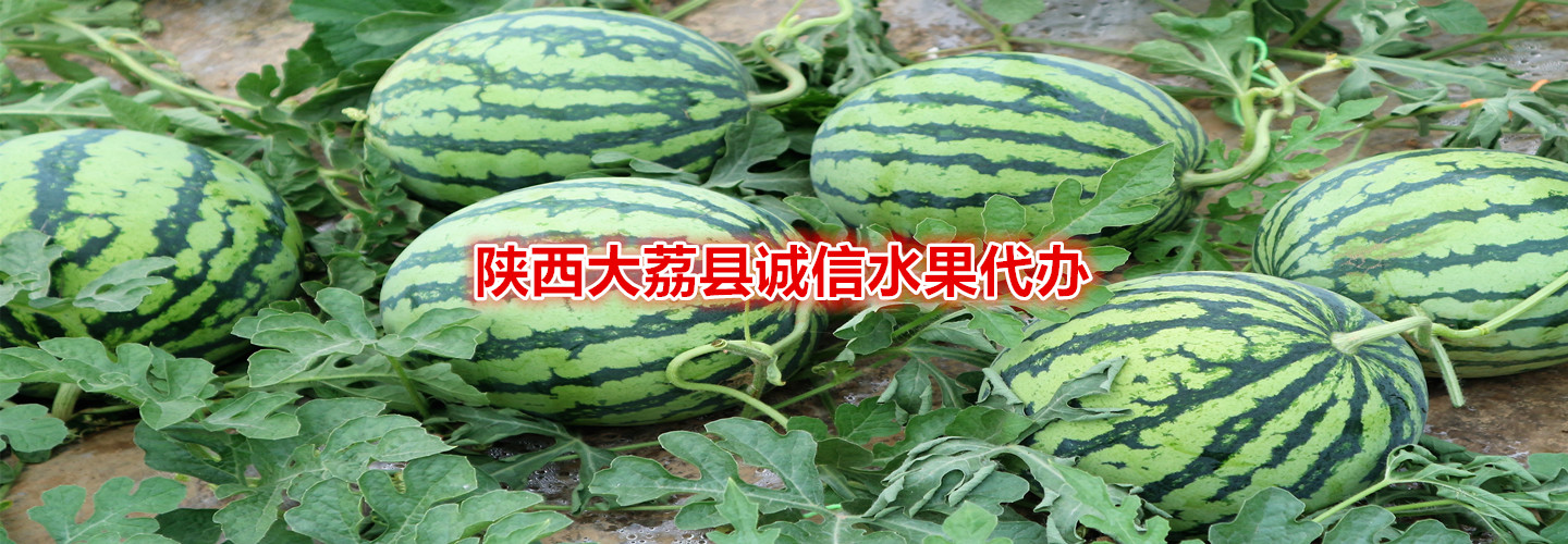渭南诚信水果批发