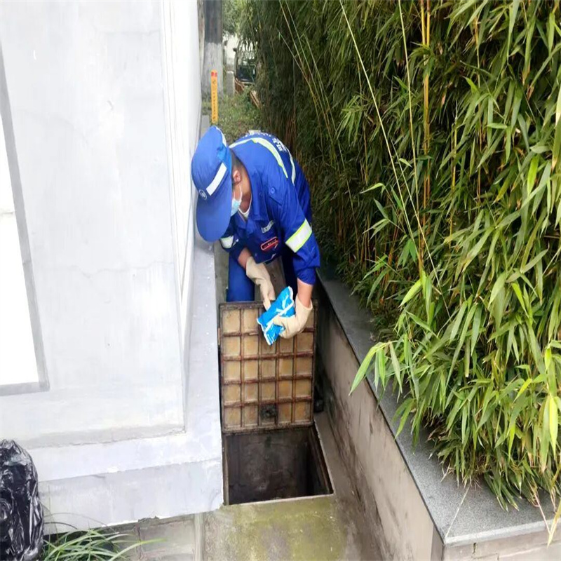 常州灭白蚁｜厂房别墅白蚁危害及专业消杀方法
