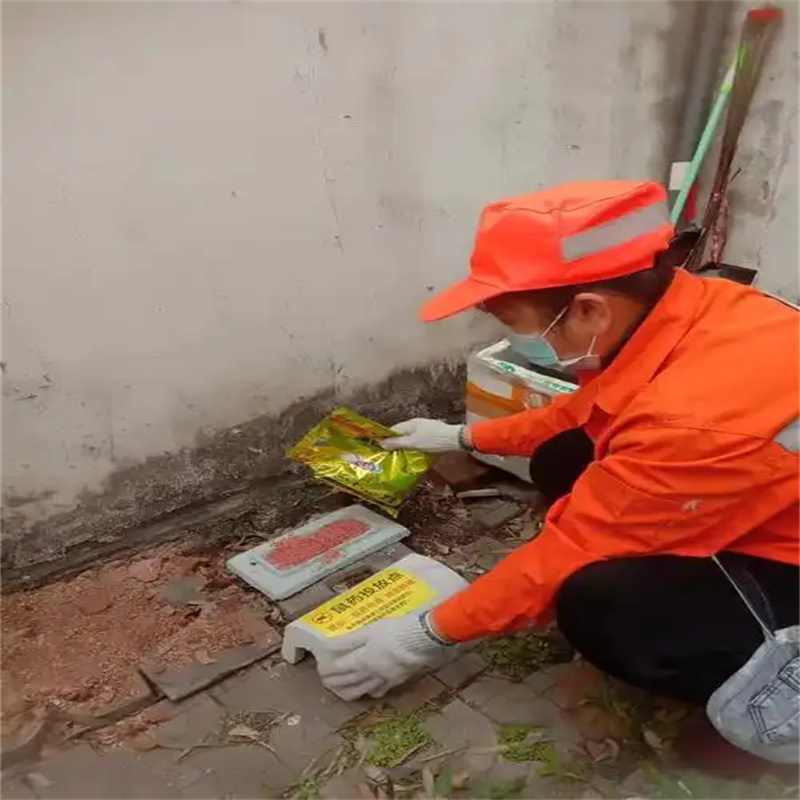 常州灭鼠｜小区家庭老鼠滋生原因与彻底解决办法