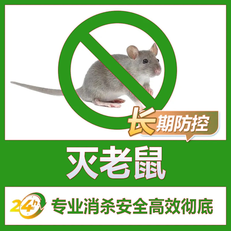 长兴灭鼠公司真的能把老鼠灭干净吗？