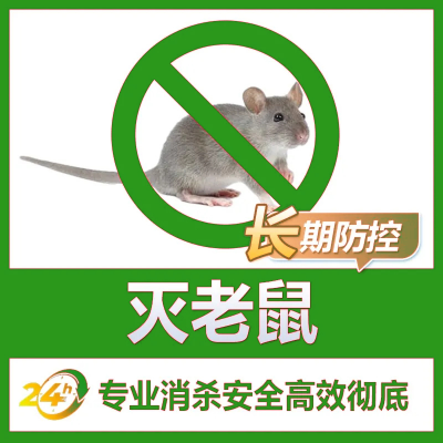 长兴灭鼠公司真的能把老鼠灭干净吗？