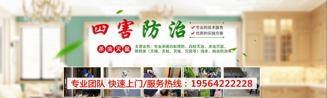 长兴郑师傅杀虫灭鼠公司