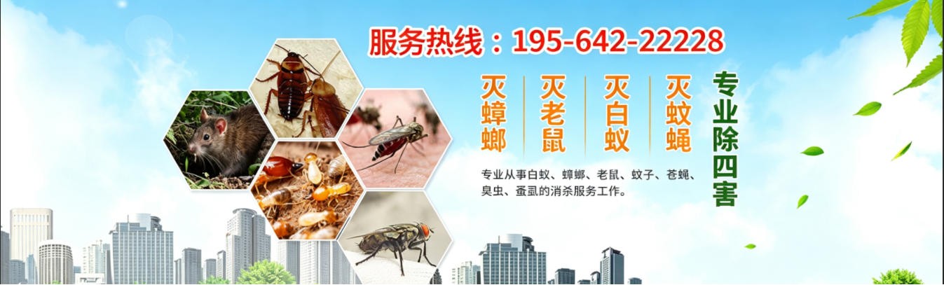 长兴郑师傅杀虫灭鼠公司