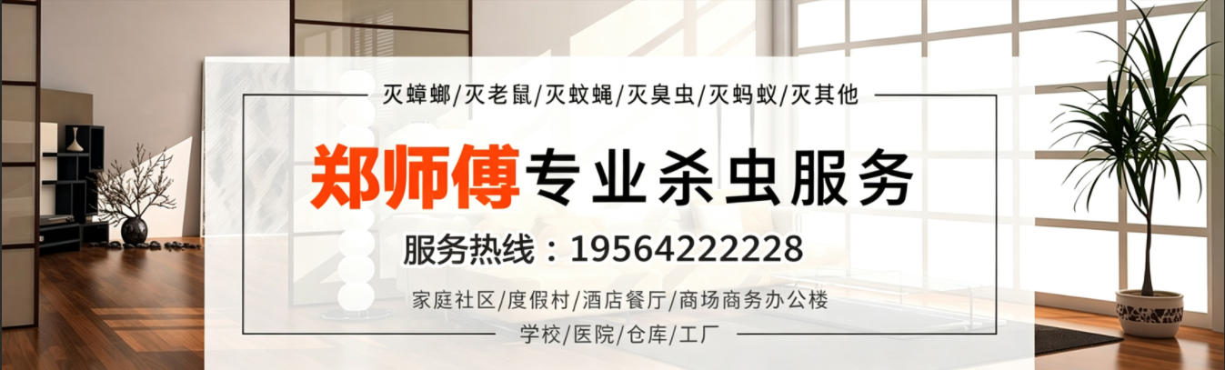长兴郑师傅杀虫灭鼠公司