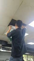 湖州灭白蚁，专业服务解决家中虫害困扰