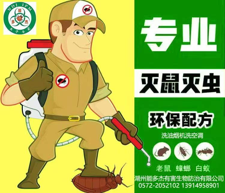 湖州德清白蚁防治哪家好？家里发现白蚁怎么办解决方法