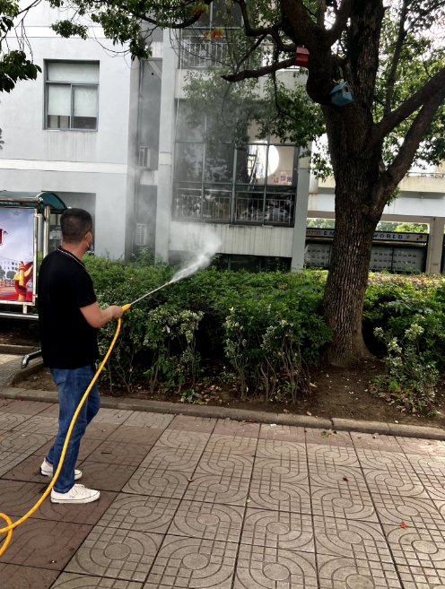 湖州灭白蚁服务哪家好，快速解决家中虫害困扰