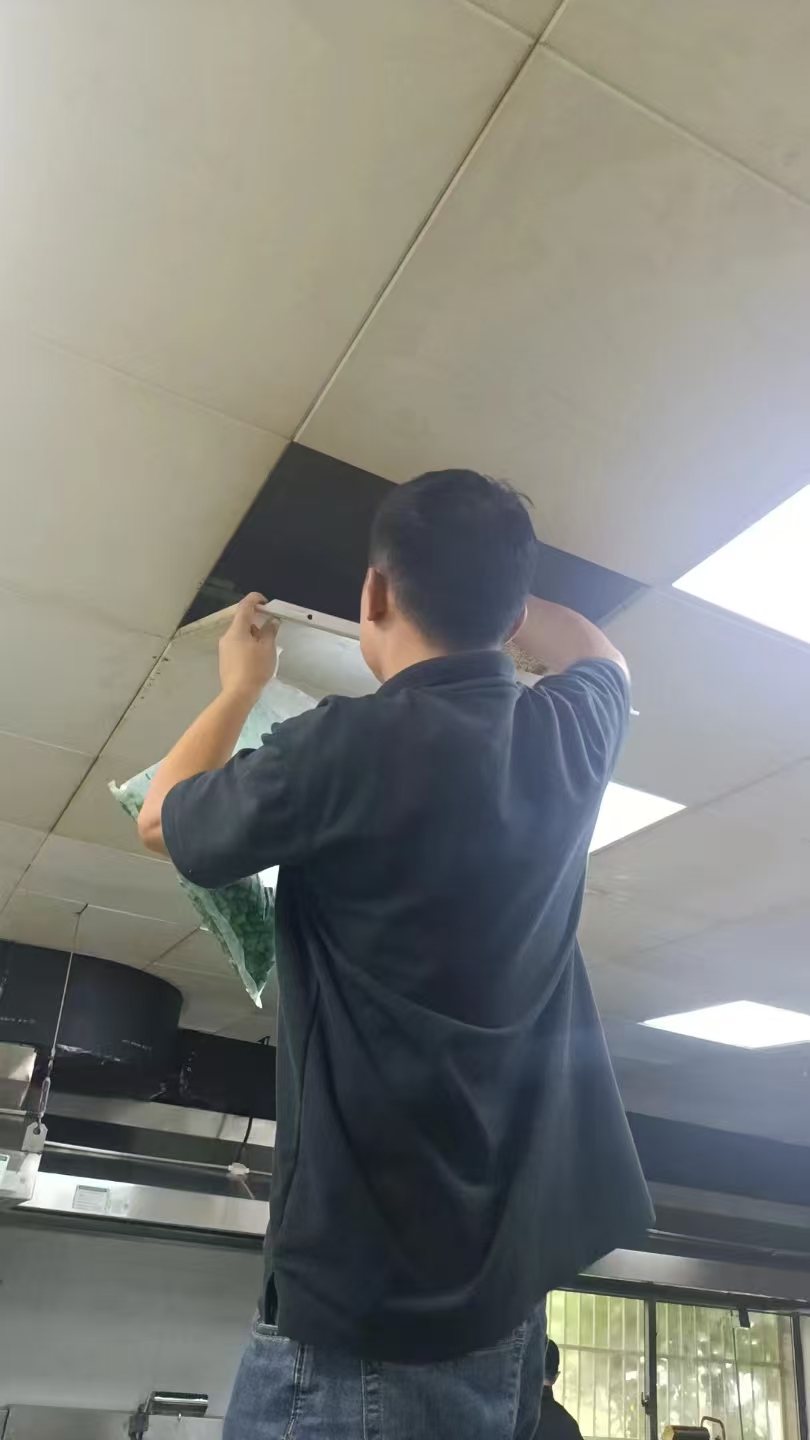 湖州长兴上门灭蚊虫哪家更靠谱？家里蚊虫总反复除不尽该怎么办？